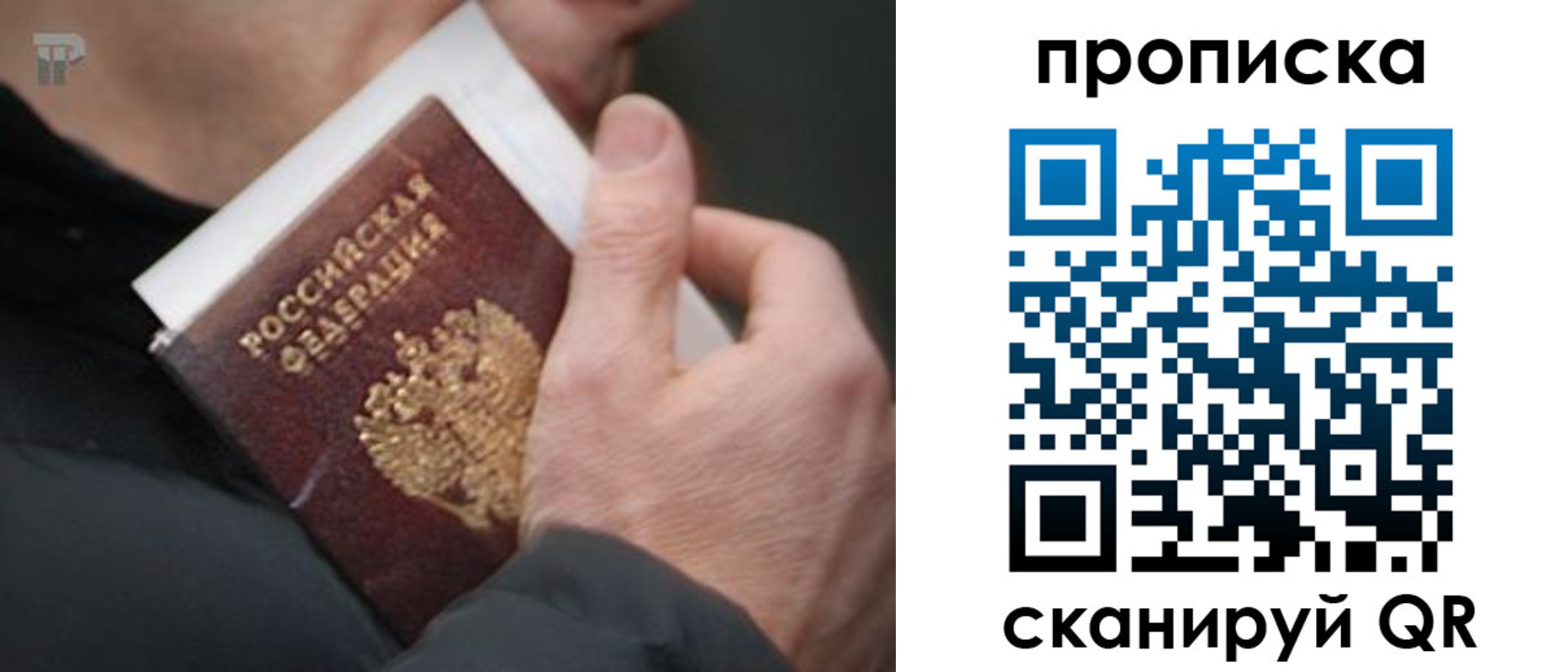 временная регистрация гарантия в Сланцах
